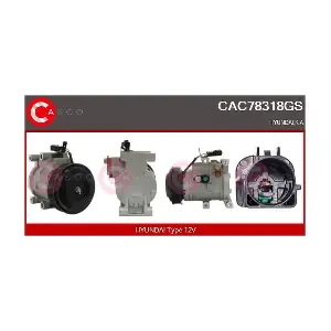 CAC78318GS CASCO