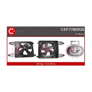CEF77002GS CASCO