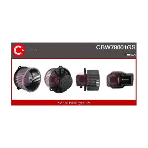 CBW78001GS CASCO