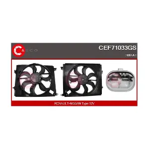 CEF71033GS CASCO
