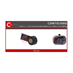 CSN77G10AS CASCO