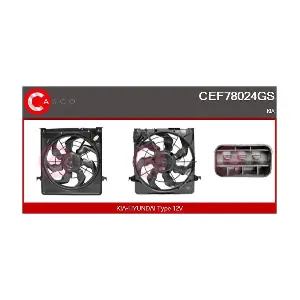 CEF78024GS CASCO