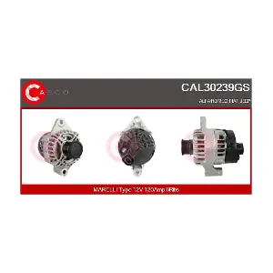 CAL30239GS CASCO