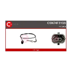 CSN74F31GS CASCO