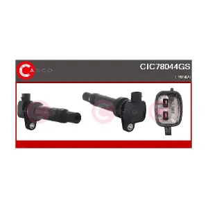 CIC78044GS CASCO