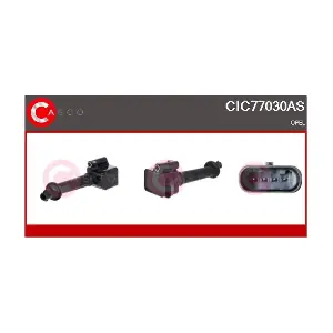 CIC77030AS CASCO