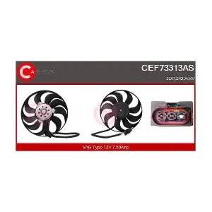 CEF73313AS CASCO