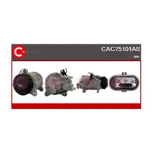 8437 CASCO