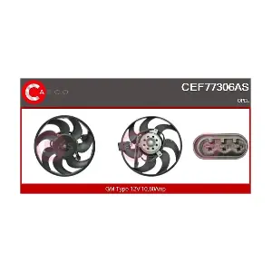 CEF77306AS* CASCO