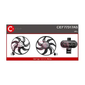 CEF77317AS CASCO