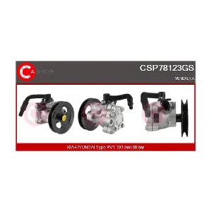 CSP78123GS CASCO
