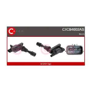 CIC84002AS CASCO
