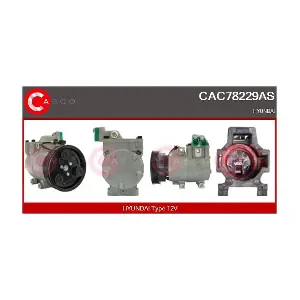 CAC78229AS CASCO