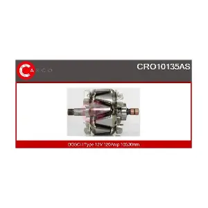 CRO10135AS CASCO