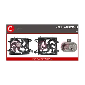 CEF74003GS CASCO