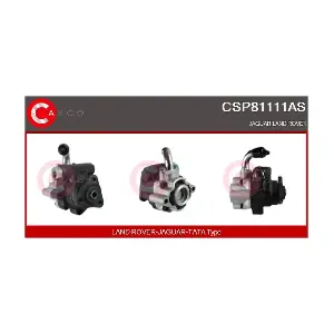 CSP81111AS CASCO