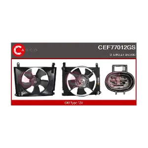 CEF77012GS CASCO