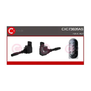 CIC73026AS CASCO
