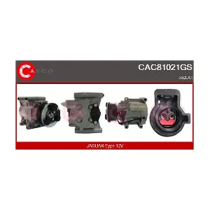 CAC81021GS CASCO