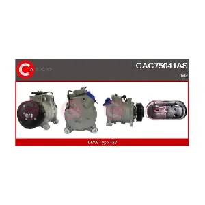 CAC75041AS CASCO
