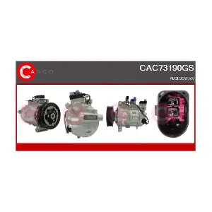 CAC73190GS CASCO