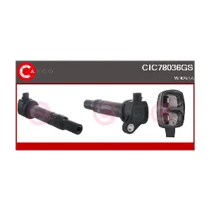 CIC78036GS CASCO
