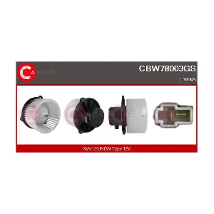 CBW78003GS CASCO
