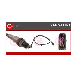 CSN73T81GS CASCO