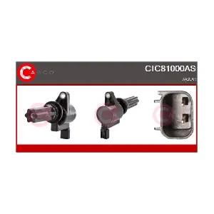 CASCO CIC81000AS