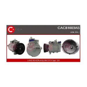 CAC81003AS CASCO