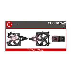 CEF74079AS CASCO