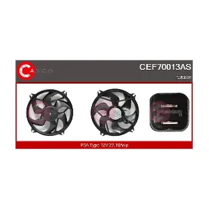 CEF70013AS CASCO