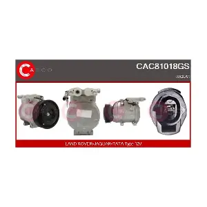 CAC81018GS CASCO