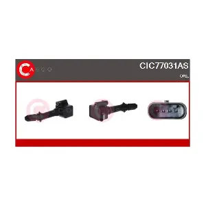 CIC77031AS CASCO