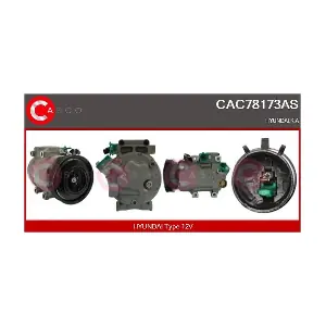 CAC78173AS CASCO