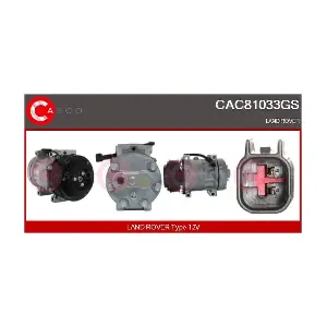 CAC81033GS CASCO