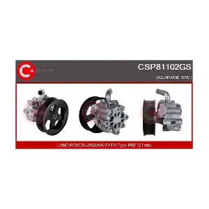 CSP81102GS CASCO
