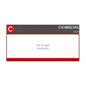 CIC86027AS CASCO