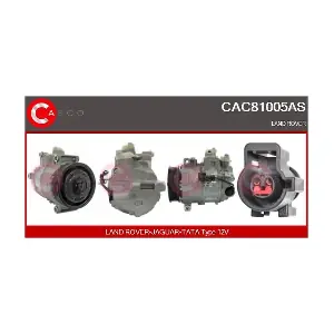 CAC81005AS CASCO