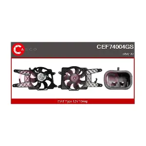 CEF74004GS CASCO