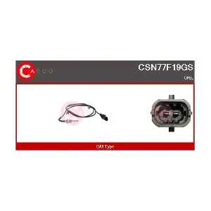 CSN77F19GS CASCO