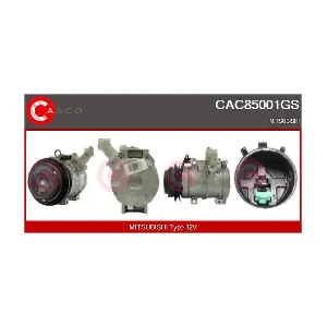 CAC85001GS CASCO