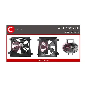 CEF77017GS CASCO