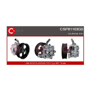 CSP81103GS CASCO