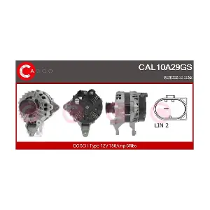 CAL10A29GS CASCO