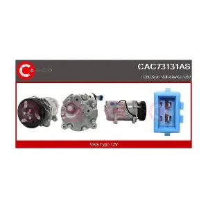 CAC73131AS CASCO