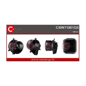 CBW71001GS CASCO