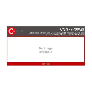 CASCO CSN77P00GS