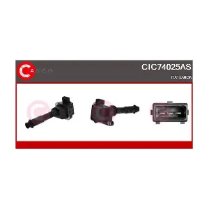 CIC74025AS CASCO