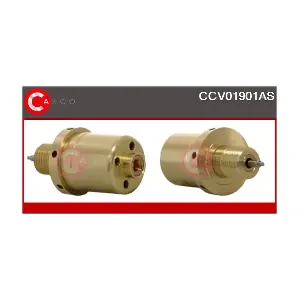 CCV01901AS CASCO